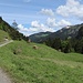 Abstieg von der Haslachalpe ins Mellental