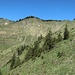 Auf der Hangalpe - steiler Hang