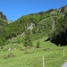 Dosseggalpe