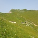 Jetzt sind wir dem Rochers de Naye schon näher