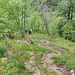 La ripidissima discesa sotto il rifugio Rosalba in Val Scarettone