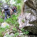 Sentiero verso lo Zucco Pertuso