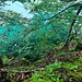 Au bord de l'eau