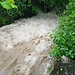gefasste Geländestufe - die Blätter sind scharf, das Wasser nicht, da ist Tempo
