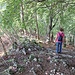 Im schattigen Wald wieder zum Poggio S. Elsa hinab.