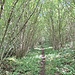sehr interessanter Wanderweg kurz vor Courselles