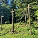 Nähe Taubenberg höchster Punkt (896 m)