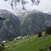 oberhalb von Gasenried