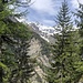 Blick Richtung Stellihorn