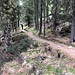 schöner Abschluss der Wanderung
