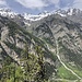 Blick Richtung Schölljoch und Topalihütte