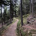 am Grächener Zauberwasserweg