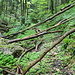 hindernisse auf dem Weg