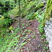 Blick zurück auf den schmalen Pfad. der jetzt entlang der Felsen führt. Im hintergrund ein Teil der Felsnase.