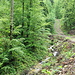 auf unmarkierten Pfaden unterwegs entlang des Ruisseau de Montsevellier