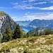 schöner Blick vom Horn auf den Urnersee