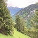 steile Wildheuerwiesen