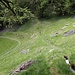 Einfach verläuft die Tatz-Giesch-Süe entlang dem markierten Wanderweg.