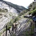 Ausnahsweise wieder mal auf einem offiziellen Wanderweg wandern wir zur Naturbrücke über den Bietschbach.