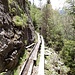 Brägjeri-Suone.