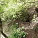 Lauschige und vergleichsmässig sehr einfache Suone (T2-T3) im unteren Abschnitt.