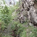 Auf der Manera-Suone