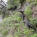 Auf der Manera-Suone. Stahlseile gibt es nur selten.