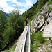 Die Thel-Suone ist in sehr gutem Zustand.
