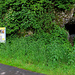 Besuch der nahegelegenen Vorder Eichen Höhle.