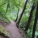 Uferweg Richtung Rheinau. 