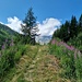 von Saas-Almagell nach Saas-Grund (I)