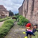 Pausa pranzo