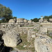 Olympia (Ολυμπία) - Blick zum Zeustempel von Olympia (Ναός του Δία στην Ολυμπία), in dem sich früher auch Zeus-Statue (eines der sieben Weltwunder) befand.