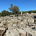 Olympia (Ολυμπία) - Am Zeustempel von Olympia (Ναός του Δία στην Ολυμπία), in dessen Umgebung unzählige Steine, Säulenteile u. dgl. verstreut liegen. Von der Tempelanlage ist vor allem der Unterbau erhalten.
