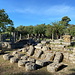 Olympia (Ολυμπία) - Im Morgenlicht beginnen wir unseren Rundgang in der archäologischen Stätte. Hier handelt es sich offenbar um den Eingangsbereich zum Gymnasion (Γυμνάσιο). Hinten dürften Säulen der Palaestra (Παλαίστρα) zu sehen sein.