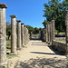 Olympia (Ολυμπία) - Blick nordwärts durch die Säulen der Palaestra (Παλαίστρα). Dahinter schließt sich das Gymnasion (Γυμνάσιο) an...