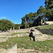Olympia (Ολυμπία) - Blick über das Metroon (Μητρώον). Der kleine dorische Tempel befindet sich an der Schatzhaus-Terrasse (rechts).