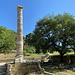 Olympia (Ολυμπία) - Hier an einer Säule, die offenbar zur Echo Stoa (Στοά της Ηχούς) gehört. Hinten sind einige Zanes-Sockel und die Schatzhaus-Terrasse zu erahnen.