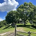 der Weg zum Sasso Gordona beginnt rechts vom Baum und Haus