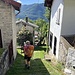 und wenn es keine Steinstraße ist, dann sind es Steinstufen - hier in Monti di Lenno