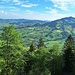 Schöner Ausblick über der Waldgrenze