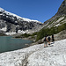 Frühsommerschnee