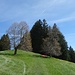 Aussicht geniessen...