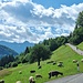 Blick ins Wägital bei Gschwänd