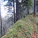 Schöner Grasgrat über den Hinter Warten