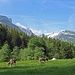 Rückblick auf den wunderschönen, romantischen Wanderweg von Brülisau zum Resspass