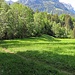 Rückblick auf den wunderschönen, romantischen Wanderweg von Brülisau zum Resspass