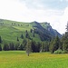 jetzt gibts noch einmal ein grösserer Anstieg über grüne Wiesen zum Kamor