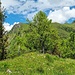 Blick vom Guschner Gir zum Mittlerspitz mit dem Abstiegsweglein