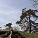 auf dem Brandstein